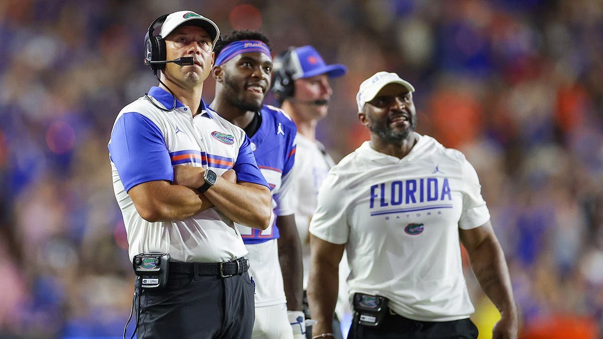 Jon Sumrall watches a replay during a football game in Gainesville, Fla.