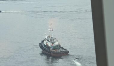 Dead fin whale found on cruise ship’s bow in Sitka