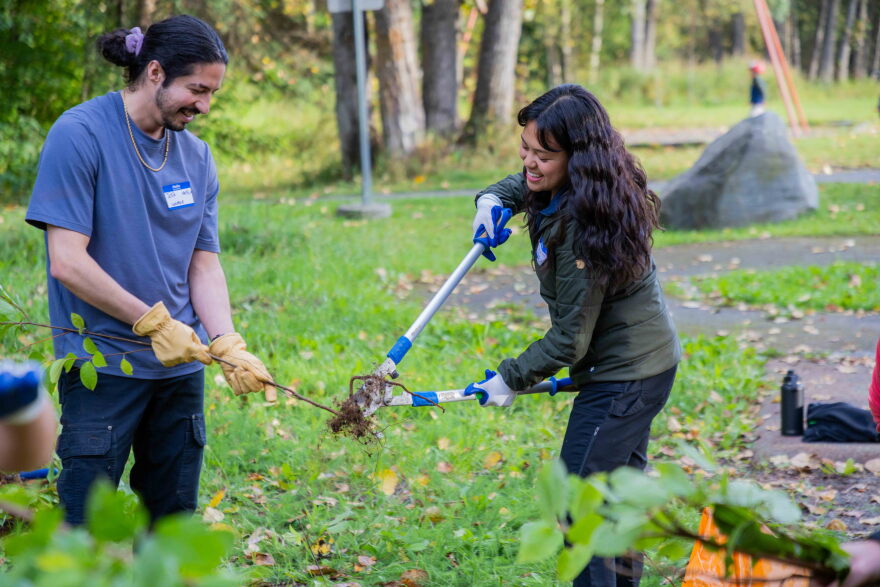 Josh Hernandez and Shayna Lotino work together at a singles mixer/invasive plant pull in Tikishla Park in Anchorage's Airport Heights neighborhood on September 14, 2026.