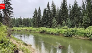 In 2003, a Montana family bought 57 acres along the Stillwater River; after cameras documented bears, wolves and mountain lions, they have permanently protected the property from development