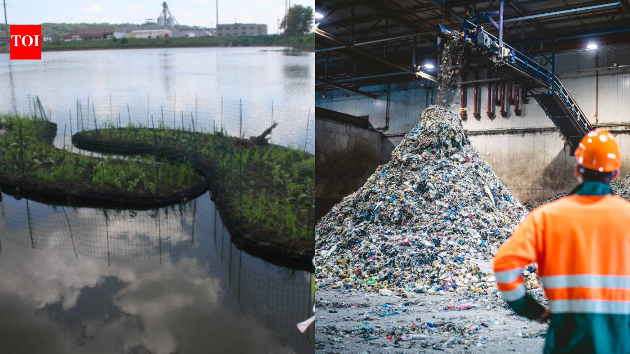 In 2017, Dubuque turned recycled plastic equal to about 67,000 water bottles into 14 floating islands; the 2,674-sq-ft system now adds plant, fish and bird habitat to Bee Branch Creek