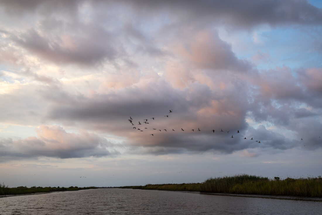 A view of Pecan Island in Vermilion Parish, Louisiana, where SpaceX announced it is building a rocket facility.