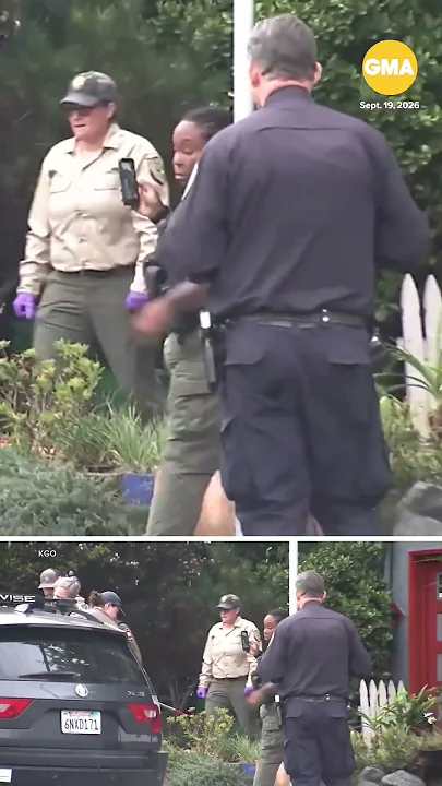 Mountain lion spotted and captured in San Francisco - YouTube