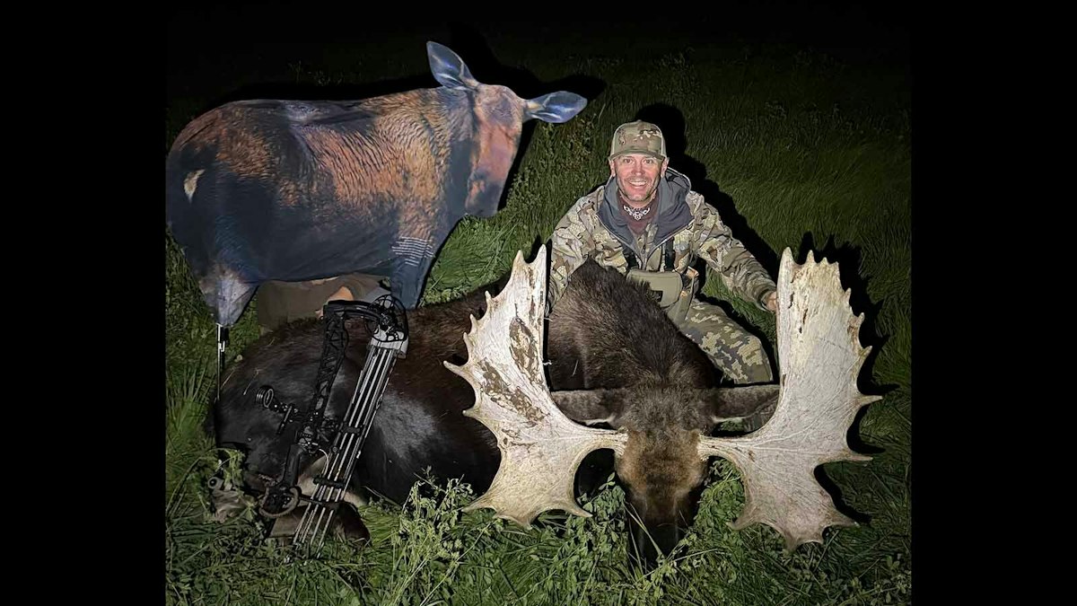 Wyoming Bowhunter Walks Behind Moose Decoy To Fool Huge Bulls In Alfalfa Field
