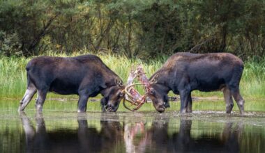 In Utah's Outdoors, one teacher discovered a passion behind the camera lens