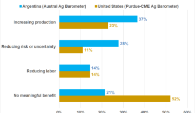 Horizontal bar chart comparing the main perceived benefit of AI or data-driven tools in agriculture in Argentina and the United States. Argentina reports higher shares for increasing production (37% vs. 23%) and reducing risk or uncertainty (28% vs. 11%). Both report 14% for reducing labor. “No meaningful benefit” is much more common in the United States (52%) than in Argentina (21%). Argentina data come from the Austral Ag Barometer; U.S. data come from the Purdue-CME Ag Barometer.