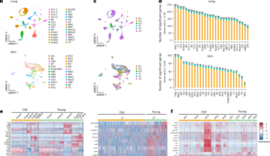 RamanOmics decodes the spatial vibrational–molecular architecture of senescence in aging and repair