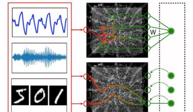 UCLA researchers advance physical AI – UCLA