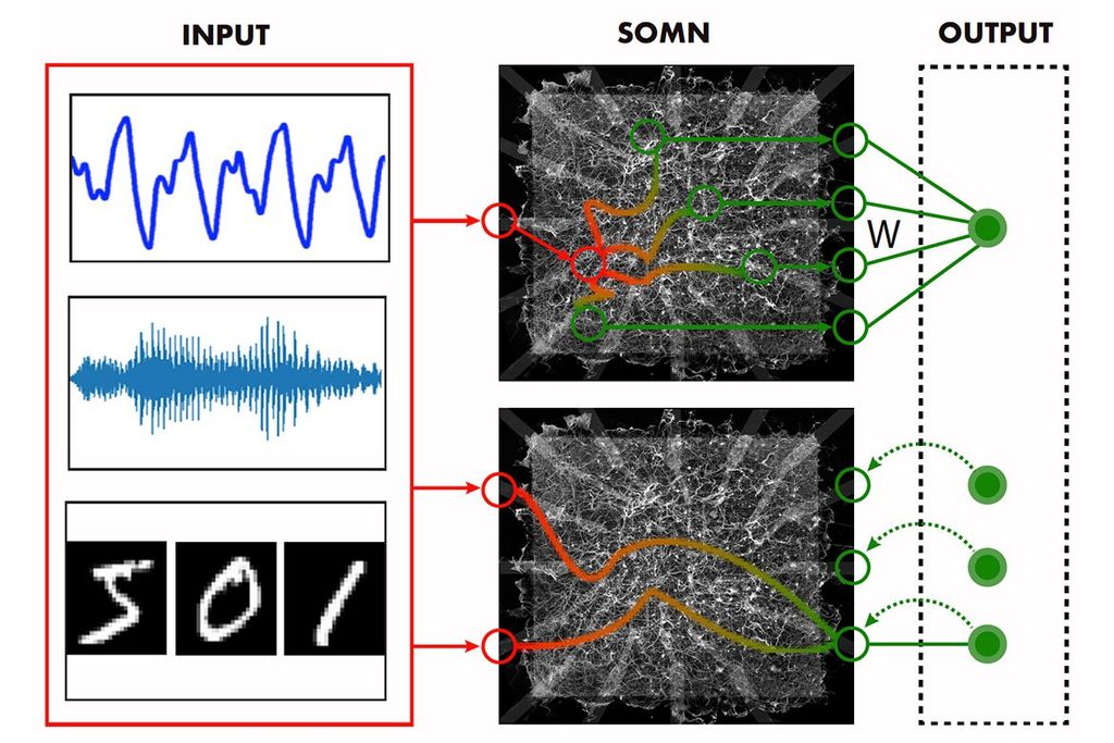 UCLA researchers advance physical AI – UCLA