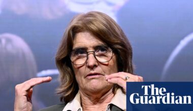 AI could be a bubble and is not yet making Australia more productive, Michele Bullock says | Australia news