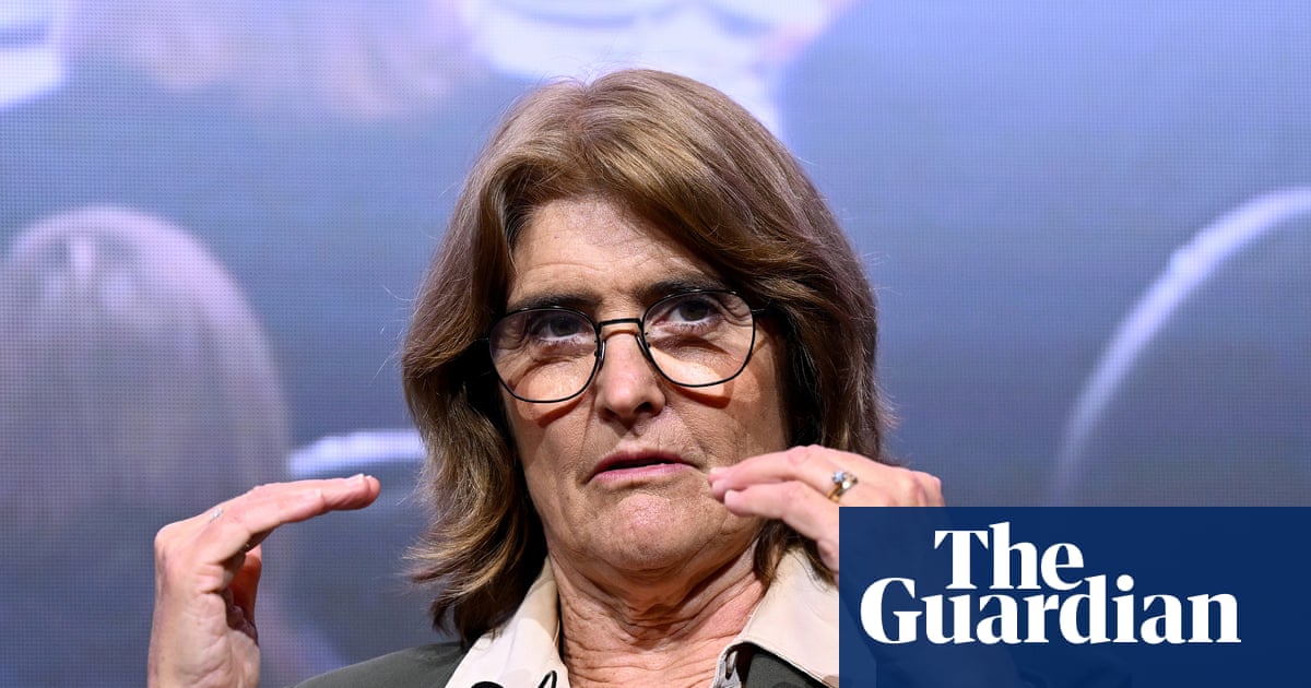 AI could be a bubble and is not yet making Australia more productive, Michele Bullock says | Australia news