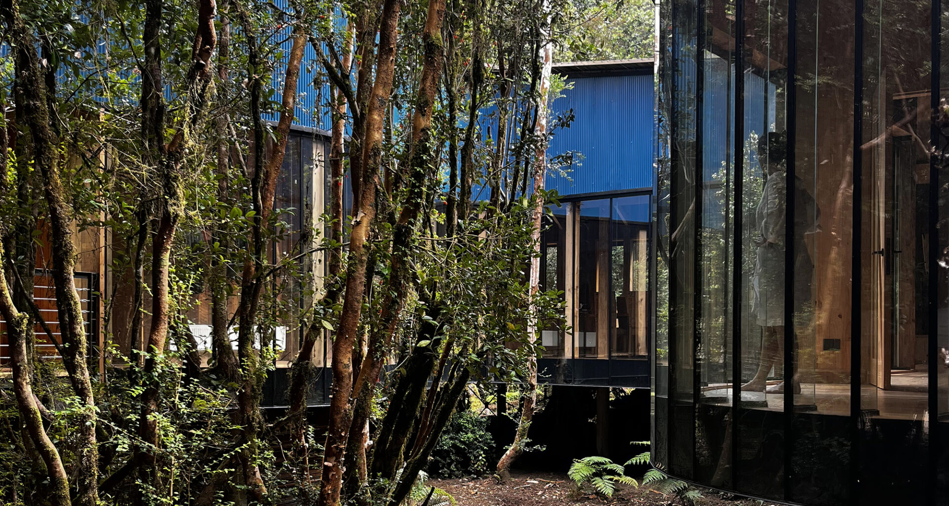 Gaviota House / SAA Arquitectura + Territorio