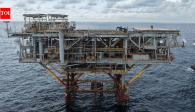 Alabama has turned a decommissioned natural gas rig into two artificial reefs; one section rises 632 feet from the seafloor, preserving marine habitat that has been growing there since 1998