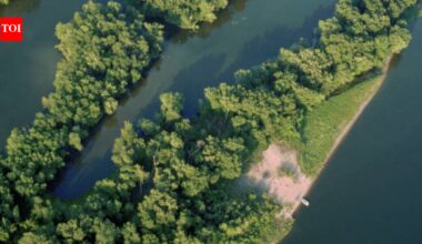 Engineers dredged 500,000 cubic yards of sand from the Mississippi River and used it to build seven islands; six years later, the $25 million McGregor Lake project has restored 270 acres of aquatic habitat and protected 22 acres of wetlands