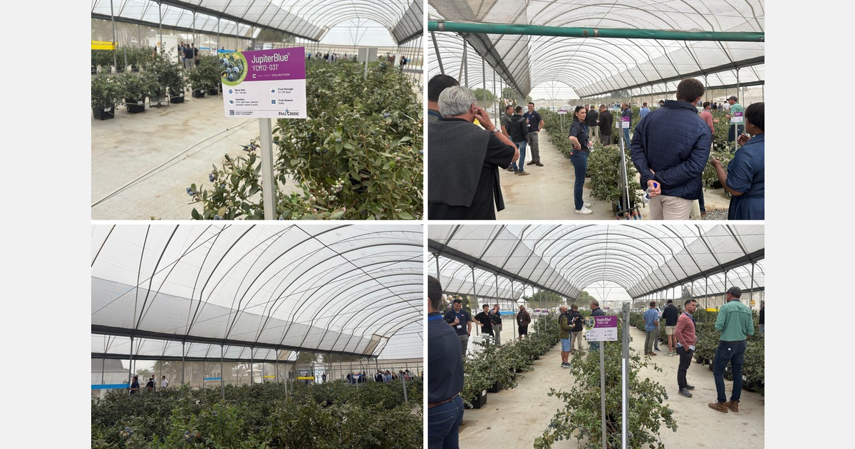 Fall Creek Connect Day highlights genetics, plant quality and regional growth opportunities