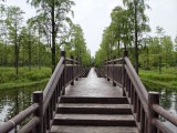 vivo X500 Pro Max main camera samples - 24mm, f/1.6, ISO 67, 1/799s (4096x3072px) - vivo X500 Pro Max camera samples
