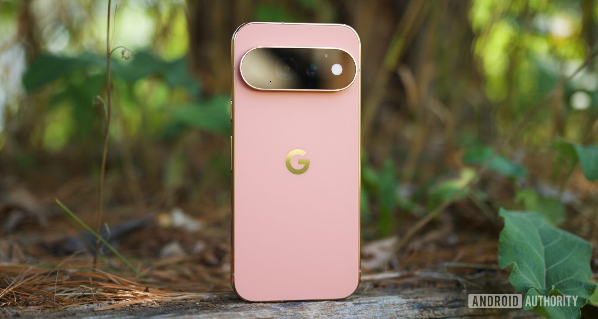 Canyon Pixel 11 Pro standing upright outside.