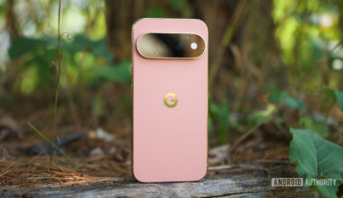 Canyon Pixel 11 Pro standing upright outside.