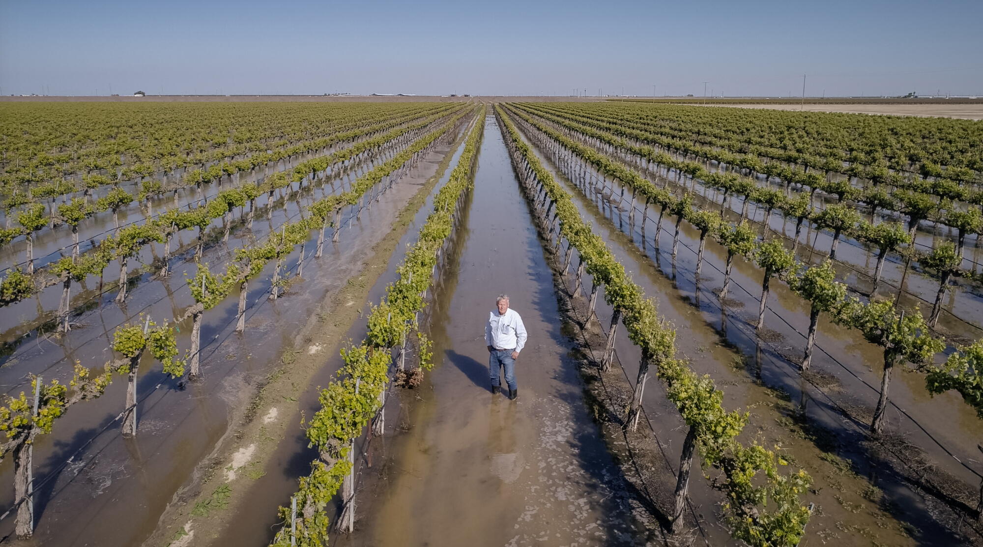 Don Cameron at Terranova Ranch in Helm.