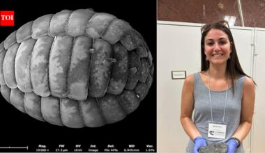 A scientist turned an $80 motel room into a makeshift lab; then she discovered two new species of microscopic amoebae |