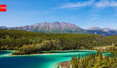 In 1993, a project set out to reconnect wildlife habitat from Yellowstone to Canada's Yukon; its partnerships have now helped create 204 crossings and protect 24 million hectares