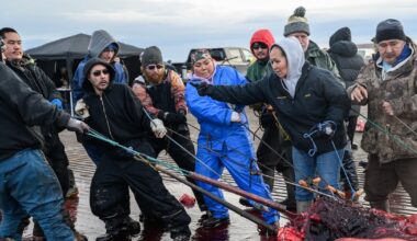 ‘Very joyful times’: Three whaling crews deliver excitement and traditional food to the shores of Utqiaġvik