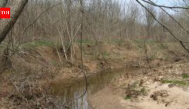 In 1995, an Illinois recreation manager bought 100 acres near a major lake; decades later, his conservation work is protecting a creek that supplies drinking water to about 30,000 people