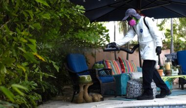 Dengue fever outbreak prompts 3 counties to declare states of emergency