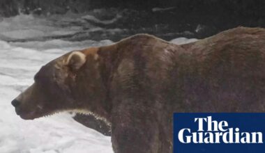 Backpack edges past Dancing Queen to win the Fat Bear Week title | Alaska