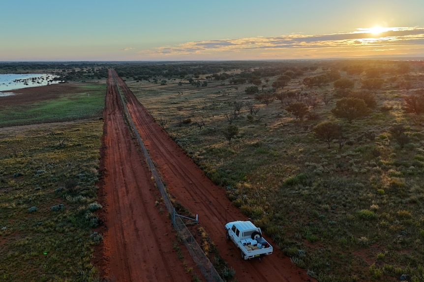 A white ute driving along a exclosure fence at Wild Deserts in outback NSW.