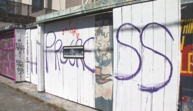 San Francisco murals in Mission District's Clarion Alley painted over after owner calls it 'graffiti'
