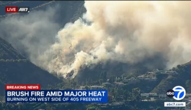 Getty Fire: Brush fire erupts along 405 Freeway near Getty Center in Sepulveda Pass