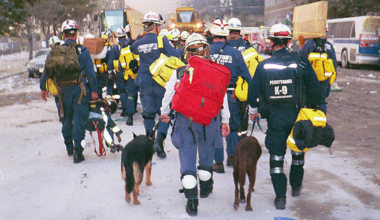 Remembering the hero search-and-rescue dogs of 9/11, 25 years later