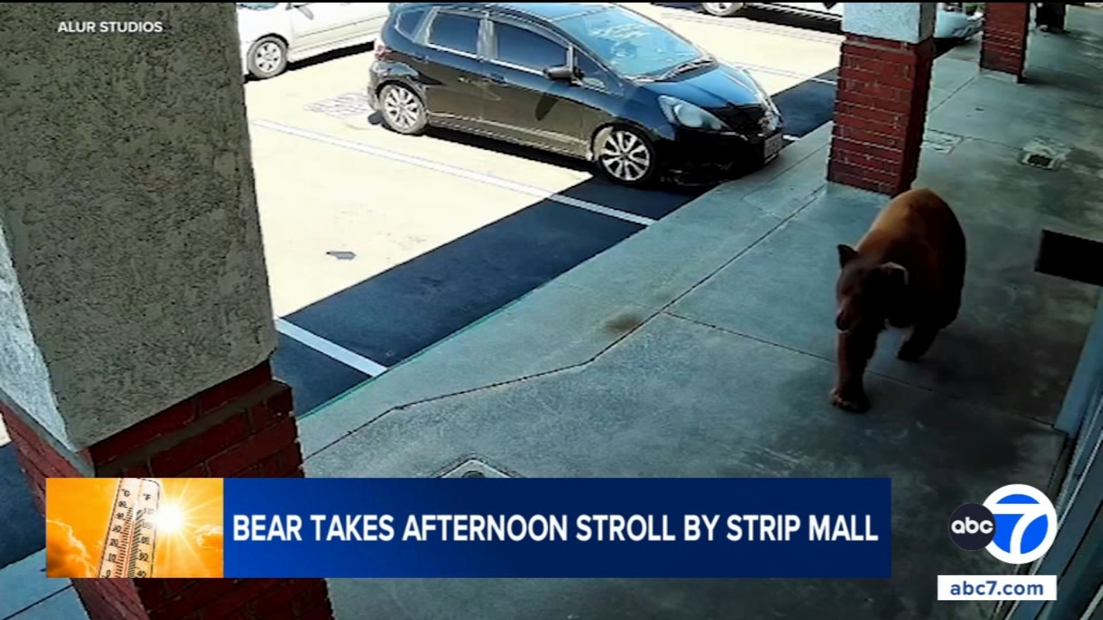 Bear spotted strolling near Alur Studios, other businesses in Glendora strip mall, video shows
