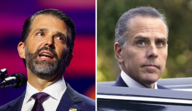 Republican senator calls for Judiciary Committee to subpoena Donald Trump Jr. and Hunter Biden