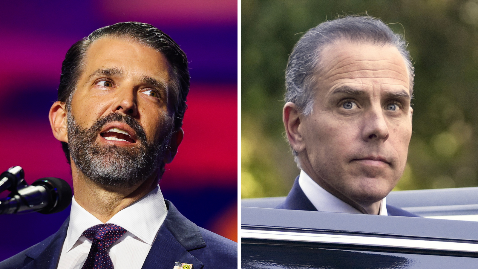 Republican senator calls for Judiciary Committee to subpoena Donald Trump Jr. and Hunter Biden