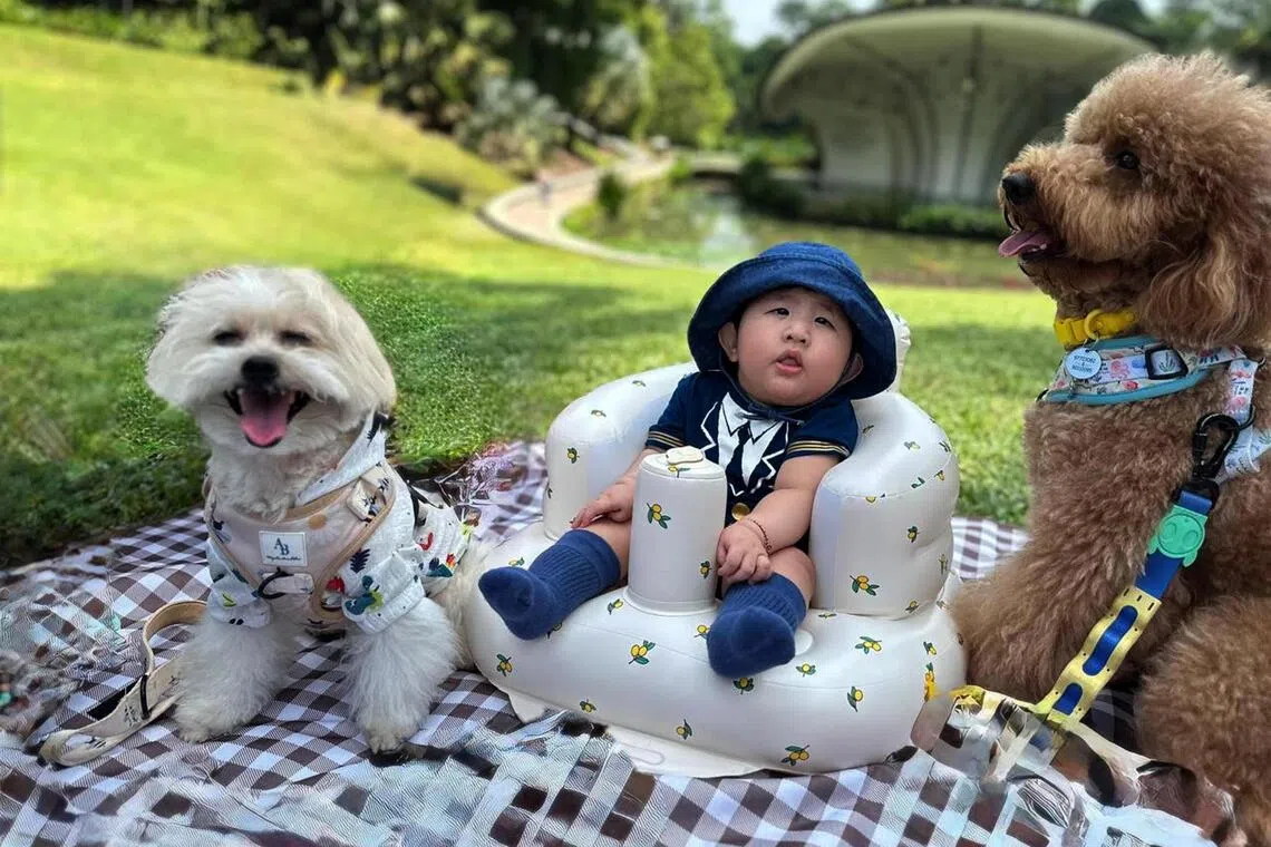 Teyden with family pets Momo (left) and Ming Ming.