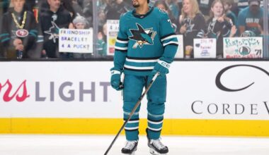 Ryan Reaves announces NHL retirement after 16-year career