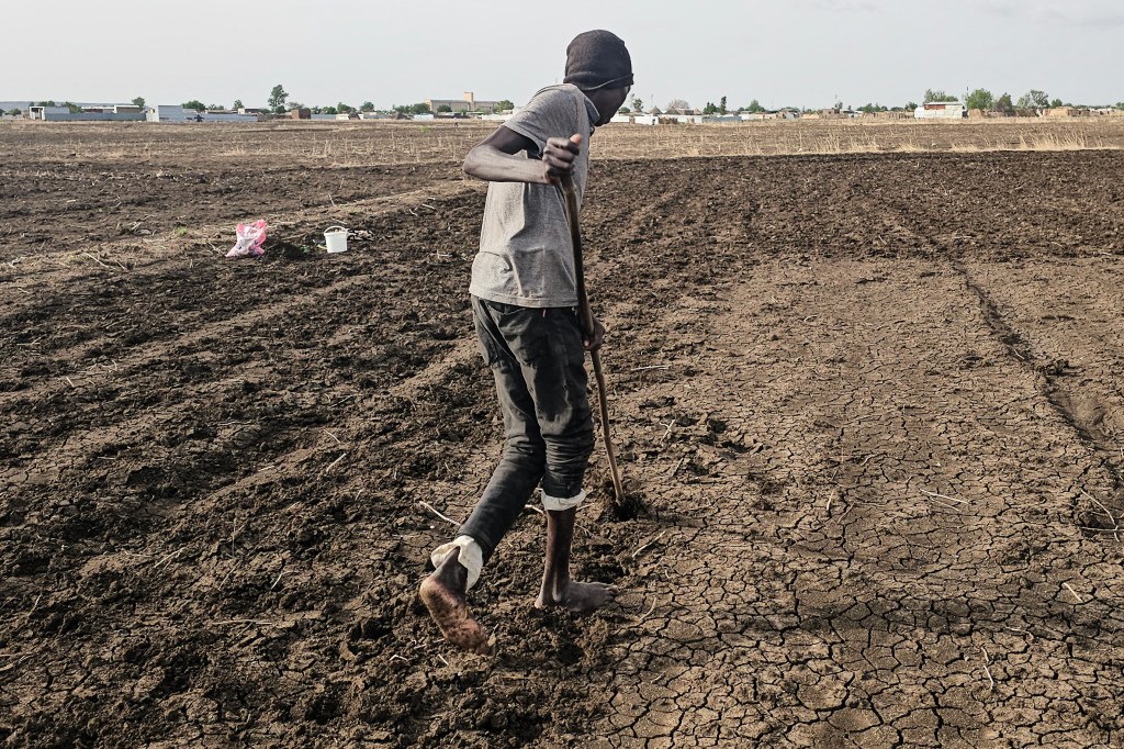 A Sudanese farmer plowing agricultural land in Gedaref State, eastern Sudan.