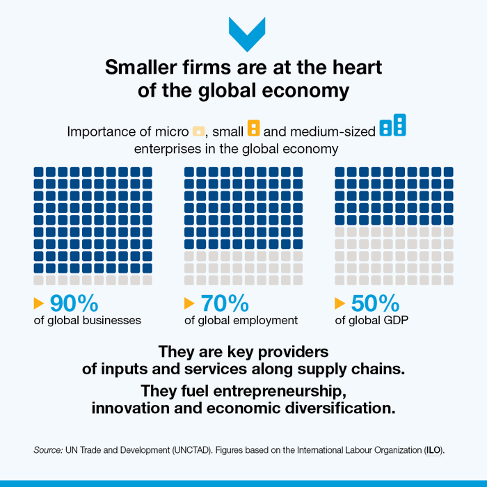 A graph showing the importance of micro, small and medium-sized enterprises in the global economy