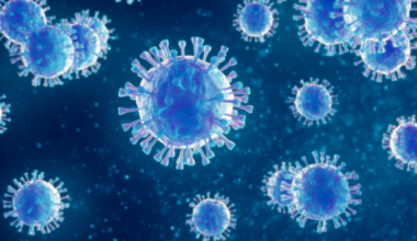 Travelers potentially exposed to measles at New Stanton Service Plaza in Western Pa.
