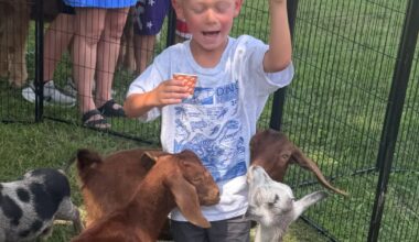 Her son fed goats at a petting zoo. Now he has to get rabies shots.