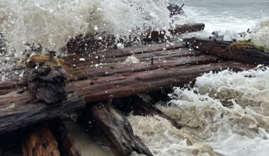 Nor’easter unearths fragments of 19th century shipwreck on Nantucket