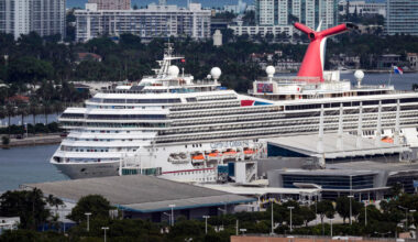 Florida mom left infant, toddler and 2 other kids home alone while she went on 3-day cruise, officials say