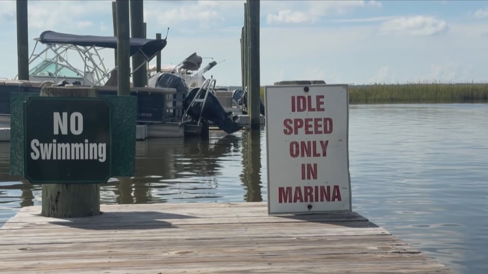 Officials say boaters can help keep manatees safe by slowing down and having someone on board...