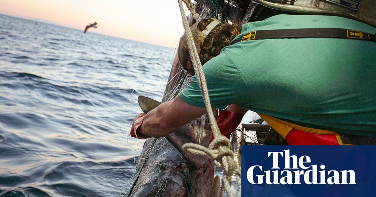 Trump’s executive order on recreational fishing is a ‘giveaway of fish and ocean ecosystem’, advocates warn | US news
