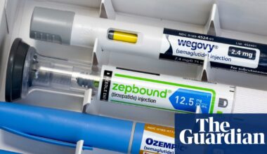 Cravings ‘like heroin withdrawal’: what happens when weight-loss drugs don’t work? | Weight-loss drugs
