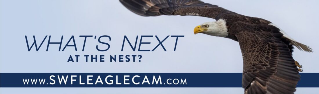 article image -