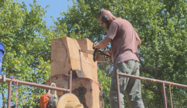 Phelps Grove Park in Springfield welcomes a new sculpture by a woodworker