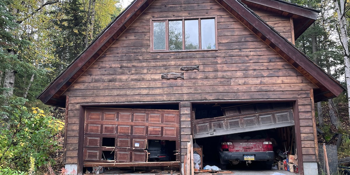 Biologists believe they may have found the bear that left a trail of destruction in Anchorage neighborhoods